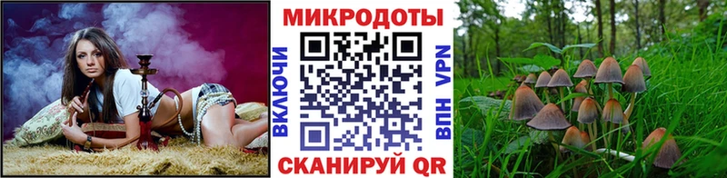 Купить где  Мирный  Галлюциногенные грибы прущие грибы 